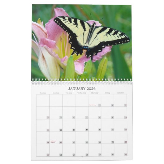 日曜日の僅かワスレグサ カレンダー (1月 2026)