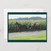 ～日曜日の午後3時～ ポストカード (正面/裏面)