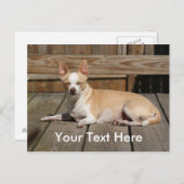 日曜日の女神 ポストカード (正面/裏面)