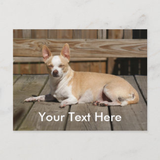 日曜日の女神 ポストカード