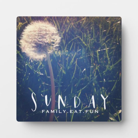 日曜日の家族食べおもしろい フォトプラーク (正面)