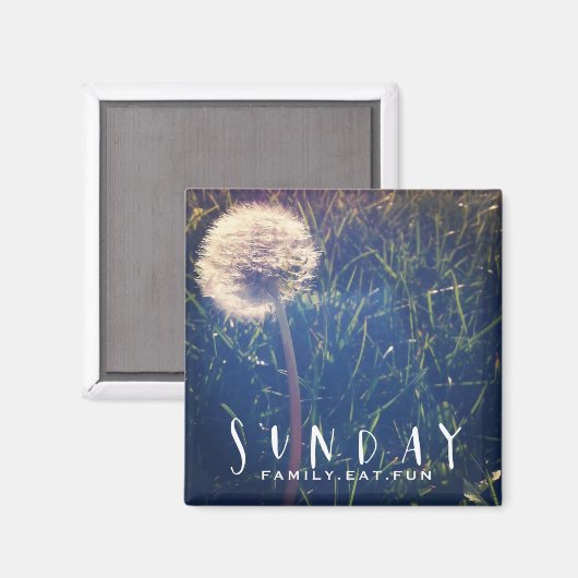 日曜日の家族食べおもしろい マグネット (正面/裏面)