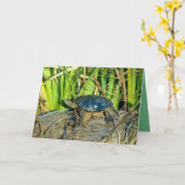 日曜日の挨拶状のカメ カード (黄色い花)