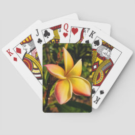 日曜日の直面 トランプ