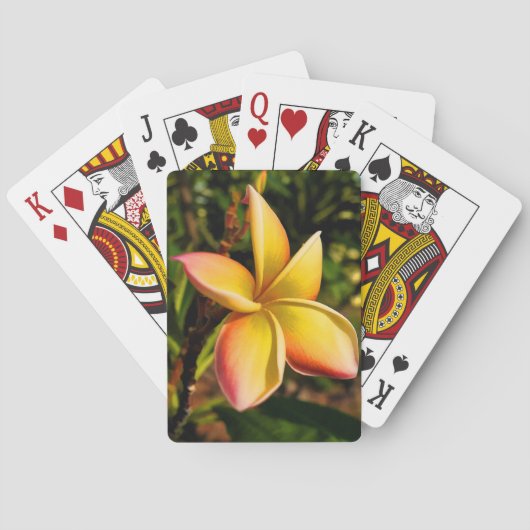 日曜日の直面 トランプ (裏面)