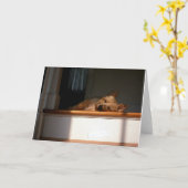 日曜日の空白のな挨拶状のケアーン・テリア カード (黄色い花)