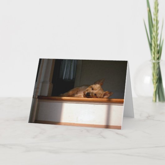 日曜日の空白のな挨拶状のケアーン・テリア カード (正面)