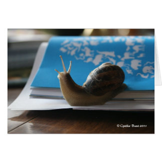 日曜日の輝やきを許可して下さい!