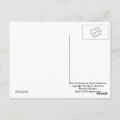 日曜日の郵便はがきのための範囲 ポストカード (裏面)