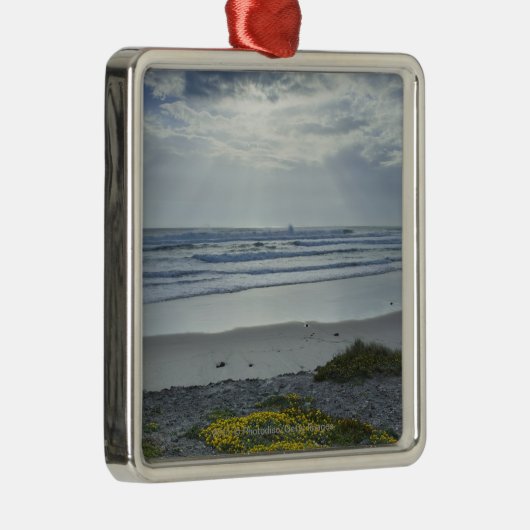 日曜日の黄色い花およびビームが付いているスペインの海岸線 メタルオーナメント (右)