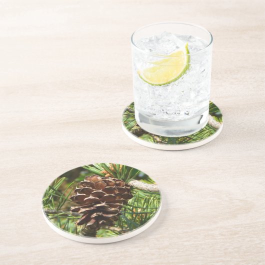 日曜日のPinecone コースター (側面)