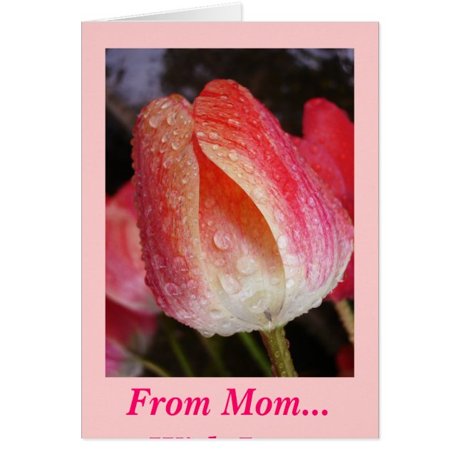 日曜日はお母さんから出て来ます、… 愛と (正面)