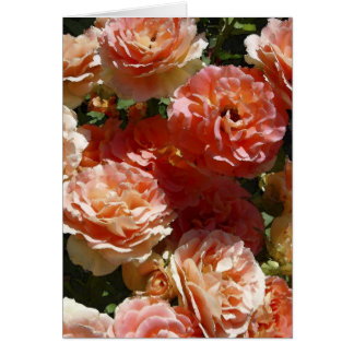 日曜日はバラをまだらにしました