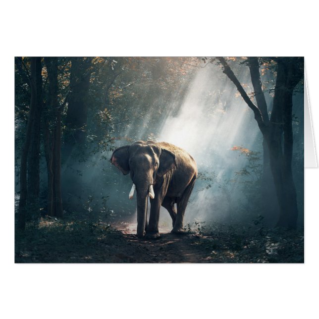 日曜日は森林空白のなカードの象をなでました (正面横)