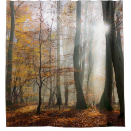日曜日は神秘的で霧深い森林シャワー・カーテンを放射します シャワーカーテン