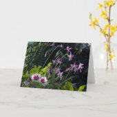 日曜日は蘭をまだらにしました カード (黄色い花)