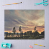 日曜日を後を追って下さい 薄葉紙 (クラフト)