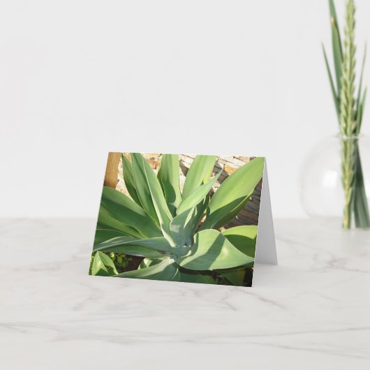 日曜日を浸すこと カード (正面)