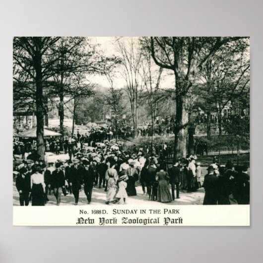 日曜日アットザブロンクス動物園ヴィンテージ ポスター (正面)