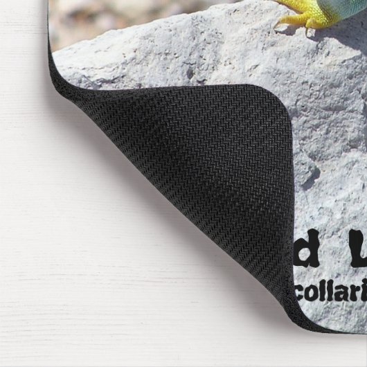 日曜日浸る襟首をつかまれたトカゲのクローズアップの写真 マウスパッド (コーナー)