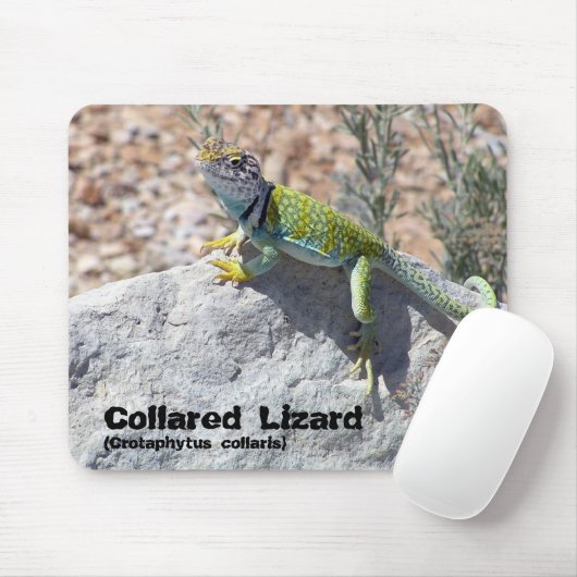日曜日浸る襟首をつかまれたトカゲのクローズアップの写真 マウスパッド (マウス)
