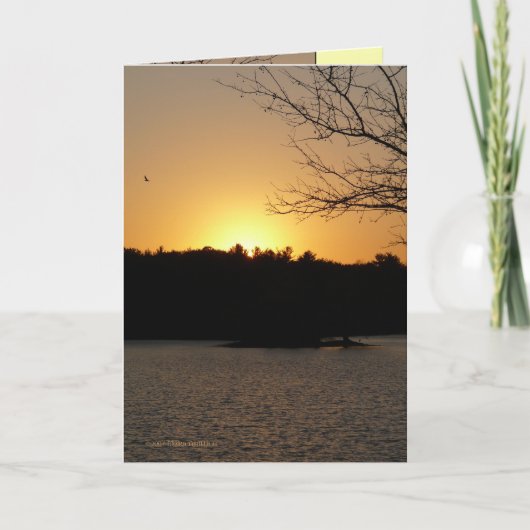 日曜日 カード (正面)