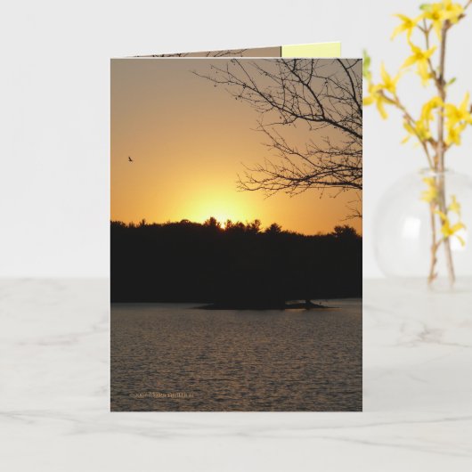 日曜日 カード (黄色い花)