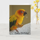 日曜日Conureの鳥のブランクの挨拶状 カード (黄色い花)