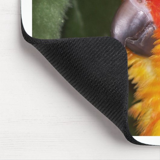 日曜日Conure マウスパッド (コーナー)