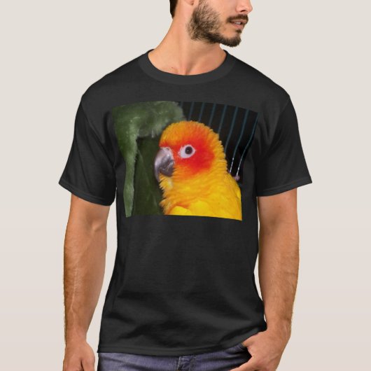 日曜日Conure Tシャツ (正面)