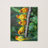 日曜日Conures ジグソーパズル (縦)