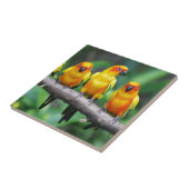 日曜日Conures タイル (側面)