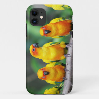 日曜日Conures iPhone 11 ケース