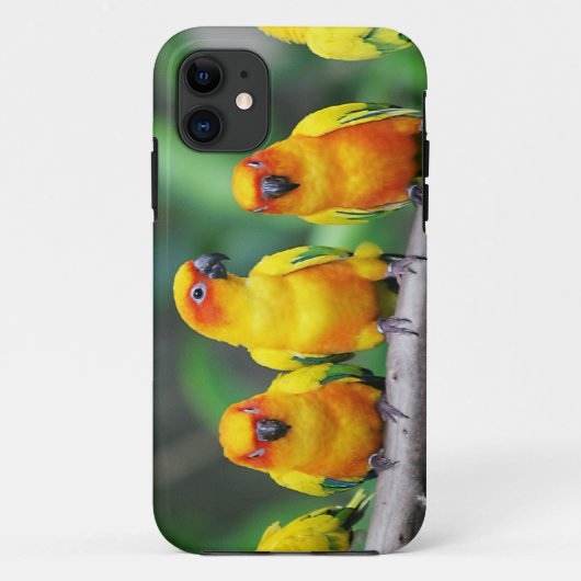 日曜日Conures Case-Mate iPhoneケース (裏面)