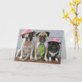 日曜最高の カード (黄色い花)