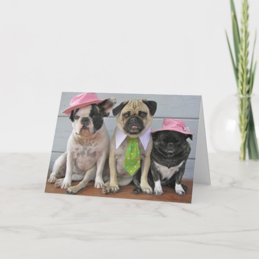 日曜最高の カード (正面)