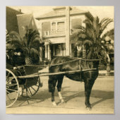 日曜最高の ポスター (正面)