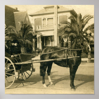 日曜最高の ポスター