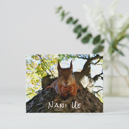 日本おもしろいから来たリスかわいい動物たちこんにちは ポストカード (スタンド正面)