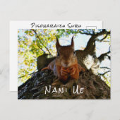 日本おもしろいから来たリスかわいい動物たちこんにちは ポストカード (正面/裏面)