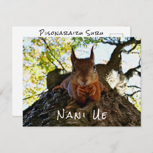 日本おもしろいから来たリスかわいい動物たちこんにちは ポストカード (正面/裏面)