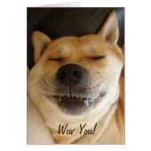 日本おもしろいの秋田とおっちょこちょいのスマイルかわいい犬 (正面)