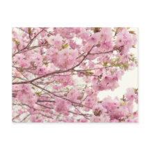 日本でさくらんぼの花を咲かせる