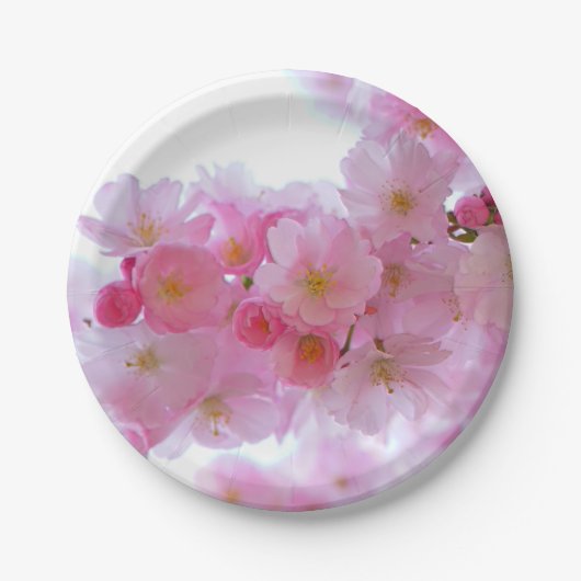 日本のさくらんぼの木の花 ペーパープレート (正面)