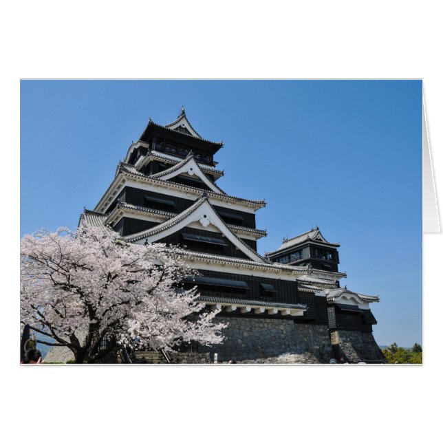 日本のさくらんぼの花 (正面横)