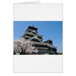 日本のさくらんぼの花