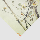 日本のさくらんぼティッシュペーパー 薄葉紙 (詳細)