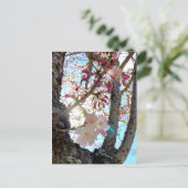 日本のさくらんぼ花はがき日本の桜 (思川桜) ポストカード (スタンド正面)