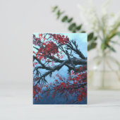 日本のさくらんぼ花樹東洋美術 ポストカード (スタンド正面)