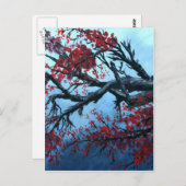 日本のさくらんぼ花樹東洋美術 ポストカード (正面/裏面)